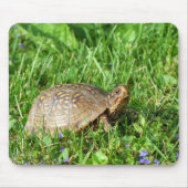 Tapis De Souris Tortue (Devant)
