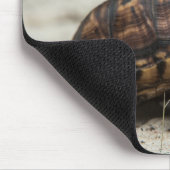 Tapis De Souris Tortue-boîte commune (Coin)