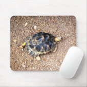 Tapis De Souris tortue de désert (Avec souris)