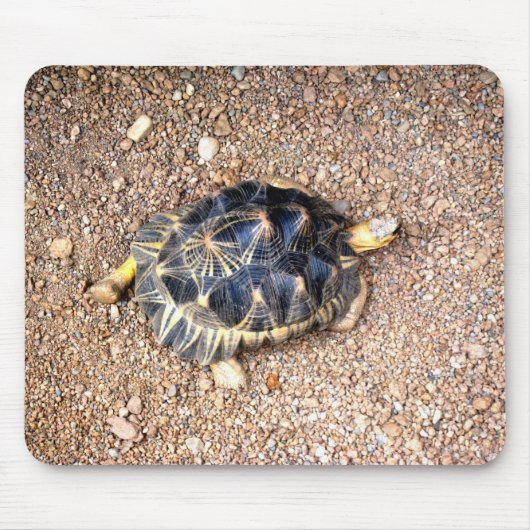 Tapis De Souris tortue de désert (Devant)