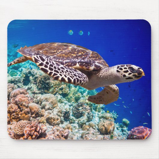 Tapis De Souris Tortue de mer (Devant)