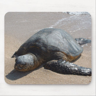 Tapis De Souris Tortue de mer - Oahu Hawaï