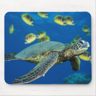 Tapis De Souris Tortue de mer verte