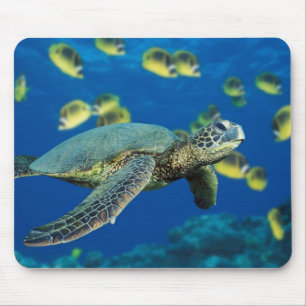 Tapis De Souris Tortue de mer verte