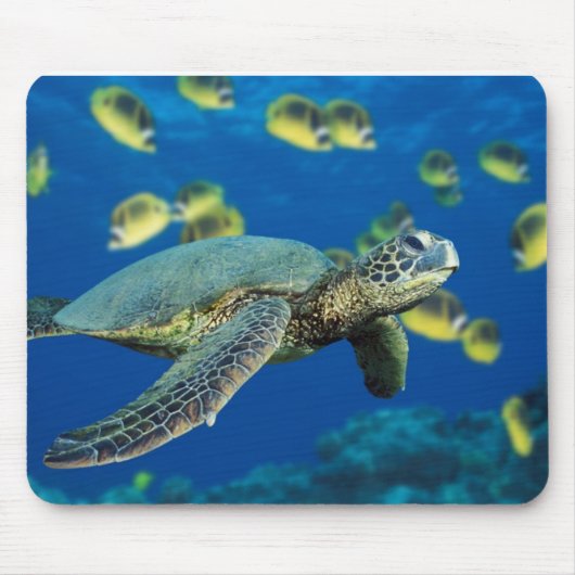 Tapis De Souris Tortue de mer verte (Devant)