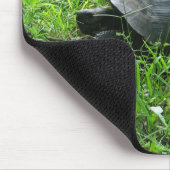 Tapis De Souris Tortue des Galápagos (Coin)