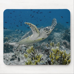 Tapis De Souris Tortue imbriquée nageant