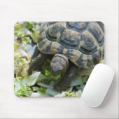 Tapis De Souris Tortue mignonne (Avec souris)