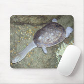 Tapis De Souris Tortue Mousepad #3 de cou de serpent (Avec souris)