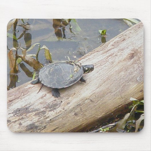 Tapis De Souris Tortue peinte par bébé Mousepad (Devant)