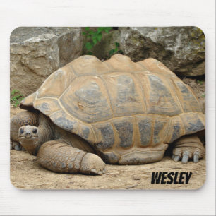 Tapis De Souris Tortue souriante