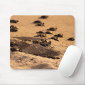 Tapis De Souris Tortues de mer (Avec souris)