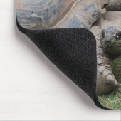 Tapis De Souris tortues géantes (Coin)
