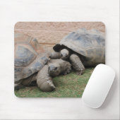 Tapis De Souris tortues géantes (Avec souris)