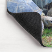 Tapis De Souris Tortues Mousepad d'Aldabra (Coin)
