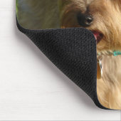 Tapis De Souris Toto (Coin)