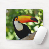 Tapis De Souris Toucan (Avec souris)