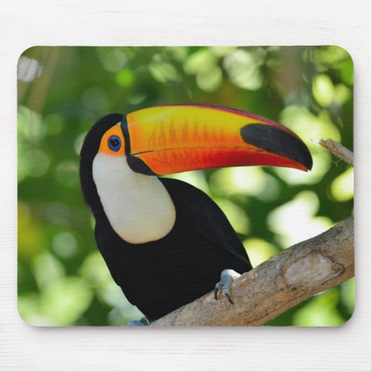 Tapis De Souris Toucan (Devant)