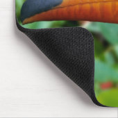 Tapis De Souris Toucan à bec jaune (Coin)