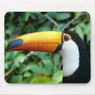 Tapis De Souris Toucan à bec jaune
