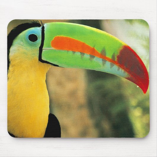 Tapis De Souris Toucan Mousepad (Devant)