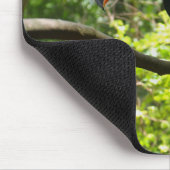 Tapis De Souris toucan, oiseau, exotique (Coin)