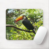 Tapis De Souris toucan, oiseau, exotique (Avec souris)