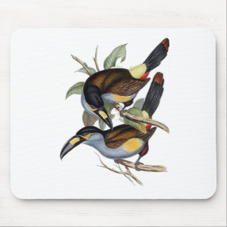 Tapis De Souris toucan Plat-affiché de montagne
