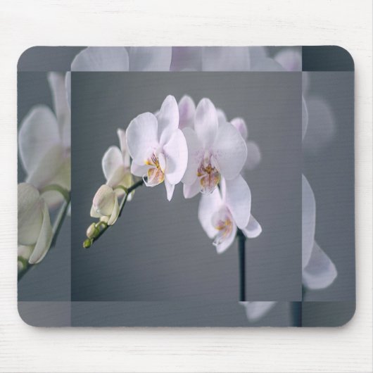Tapis de Souris Touché de Fleurs Blanches (Devant)