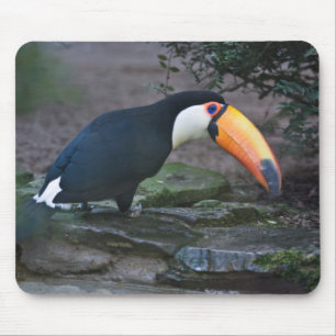 Tapis De Souris Toukan Mousepad