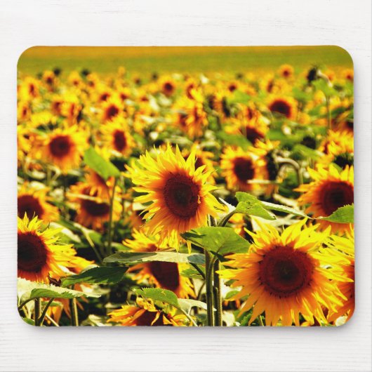 Tapis De Souris tournesol (Devant)