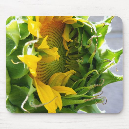 Tapis De Souris Tournesol (Devant)