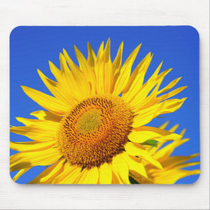 Tapis De Souris Tournesol