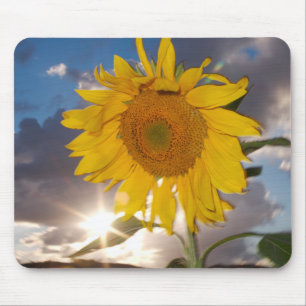 Tapis De Souris Tournesol hybride soufflant dans le vent au crépus