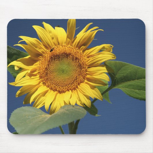 Tapis De Souris Tournesol Mousepad (Devant)