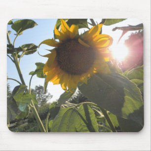 Tapis De Souris Tournesol vers le bas