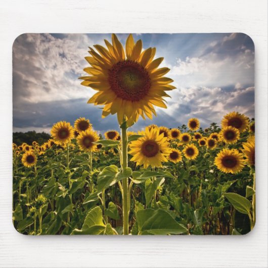 Tapis De Souris Tournesols (Devant)
