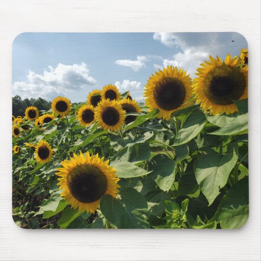 Tapis De Souris Tournesols (Devant)