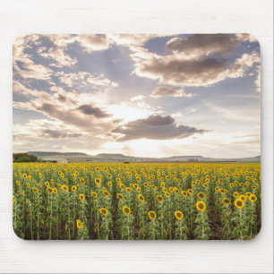 Tapis De Souris Tournesols au coucher du soleil