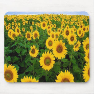 Tapis De Souris Tournesols Mousepad