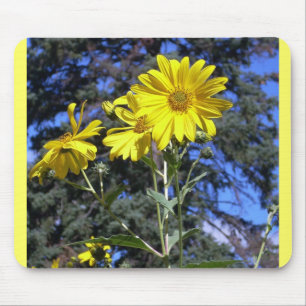 Tapis De Souris Tournesols sur pin