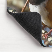 Tapis De Souris Towhee tachetée (Coin)