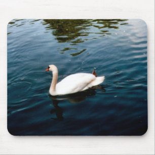 Tapis De Souris Town Bird