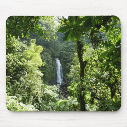 Tapis De Souris Trafalgar Falls Tropical Rainforest Photographie (Devant)