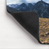 Tapis De Souris Trail on Mount Howard (Coin)