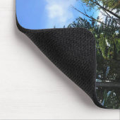 Tapis De Souris Trail on Mount Howard (Coin)