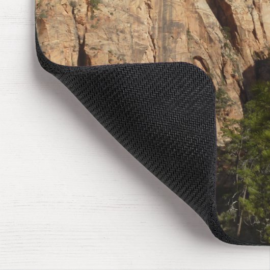 Tapis De Souris Trail to Angels Landing in Zion National Park (Coin)