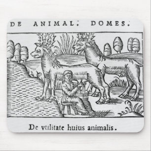 Tapis De Souris Traite des rennes