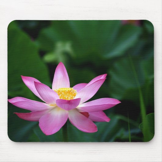 Tapis De Souris Tranquilité de Lotus (Devant)