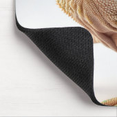 Tapis De Souris Transforme Seu Espaço com o Mousepad Camaleão (Coin)